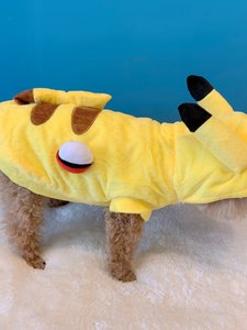 Vêtements pour chien en polaire et coton avec motif <span class=keywords><strong>Pikachu</strong></span> jaune - Vêtements amusants pour animaux de compagnie pour toutes les saisons - Product Image 3