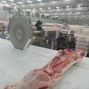 Línea de Producción Industrial de Carne para Procesamiento de Alimentos en Mataderos y Plantas de Sacrificio - Product Image 1