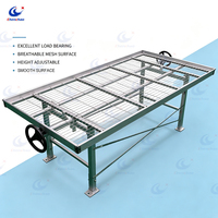 Banc roulant antirouille pour serre avec structure en acier, table de culture en treillis métallique durable pour l'agriculture à grande échelle