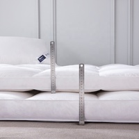 Matelas de Luxe Hôtelier Queen King, Fournisseurs en Gros, Matelas à Ressorts Ensachés avec Surmatelas Euro Top