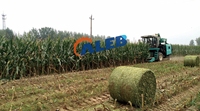 Moissonneuse de maïs fourragère pour l'ensilage à usage de petits agriculteurs