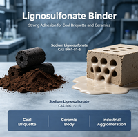 Agente Ligante Lignosulfonato de Sodio, Ligante Eficiente para Briquetas de Carbón y Cerámica CAS 8061-51-6