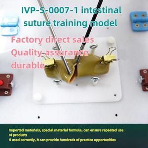 คลิปหนีบขดลวดสำหรับนักเรียนทางการแพทย์ช่วยสอนวิทยาศาสตร์ทางการแพทย์แบบจำลองการเย็บลำไส้ - Product Image 2