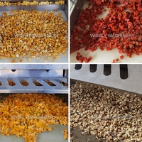 Droog Fruit Mango Snijmachine Gedroogd Fruit Dadels Dobbelmachine Raisin Snijmachine