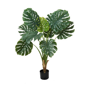Cây Nhân Tạo Ficus Thông Giả Cho Trang Trí Nội Thất Trang Trí Nội Thất <span class=keywords><strong>Palm</strong></span> Chuối Cho Trang Trí Ngoài Trời Trong Nhà Cây Vàng Cây Nhân Tạo - Product Image 1