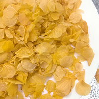 Décorations de mariage aux fleurs, confettis de pétales naturels, véritables pétales d'hortensia de grande taille, confettis de pétales identiques aux pétales lyophilisés