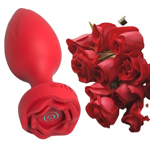 Anal Plug <b>Vibrator</b> Remote Control 10 Frequency USB Charging Anal Massager Insertion Stimulator for Women Adult Sex Toy - Product Image 2