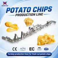 Ligne de production de chips de pommes de terre 600 kg/h, machine automatique de fabrication de chips croustillantes, usine de transformation de chips de banane