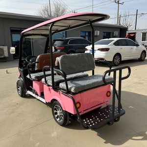 Scooter électrique à quatre roues, 4 vélos électriques, moteur puissant, longue autonomie, vélo électrique de ville avec toit, S11 Cargo E-bike - Product Image 6