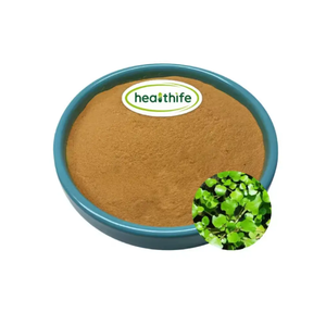 Healthife Supply Natural 10:1 20:1 Extracto de berro <span class=keywords><strong>Nasturtium</strong></span> <span class=keywords><strong>Officinale</strong></span> Extracto en polvo - Product Image 1