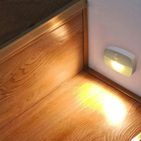 Lampe à capteur de mouvement pour armoire domestique, veilleuse Led à capteur intelligent