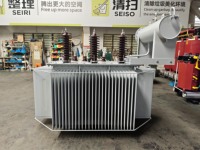 Transformateurs électriques immergés dans l'huile Fuleet 6/6.3/10/11kV triphasés 315kVA 400kVA 630kVA pour la distribution d'énergie