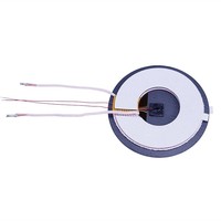 Bobina di Induzione Fornita dal Produttore, Bobina Induttiva per Ricarica Wireless 5W, Personalizzabile, Vendita all'Ingrosso Diretta dalla Fabbrica