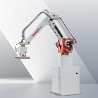 Palettiseur automatique de carton Robot de palettisation électrique 50kg pour la ligne de production industrielle Applications alimentaires et boissons