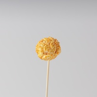 Popcorn sans sucre, adapté aux régimes, texture légère et croustillante, collation naturelle et saine, faible en calories, vente en gros