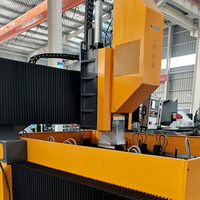 Machine de perçage de plaques métalliques CNC entièrement automatique de la série PSD Raintech pour la fabrication d'acier