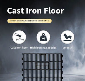 Plancher en fonte noir de haute qualité, personnalisé, facile à installer, pour élevage de porcs, nouveau, 600x700mm - Product Image 3