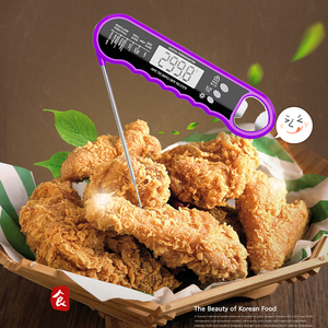 304ss prob ile hızlı okuma mutfak aracı IPX6 su geçirmez barbekü et pişirme kahve süt izgara fırın barbekü gıda & şişe açacağı - Product Image 1