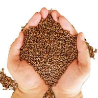 Biji Cassia Coklat Kering FD Premium Utuh dengan Kulitnya 500g, Umur Simpan 18 Bulan untuk Detoks Hati & Kesehatan Mata, Teh Herbal