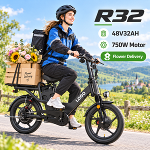 Vélo électrique cargo R32 48V32Ah à charge rapide 8-9H, double suspension, conception personnalisée OEM ODM, livraison de vélos électriques - Product Image 1