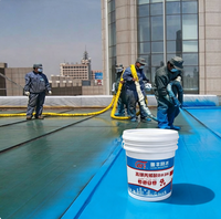 Revêtement liquide imperméable LiFeng haute résistance anti-UV et isolant thermique avec polymère acrylique pour toiture et piscine