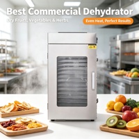Dehydrator met roestvrijstalen constructie voor commerciële fruitverwerking en commerciële voedselproductie