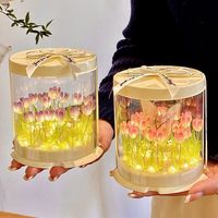 Lampu Malam Tulip DIY Kreatif, Buket Bunga Simulasi, Kemasan Ramah Lingkungan dari Plastik, Bunga & Tanaman Hias Lainnya