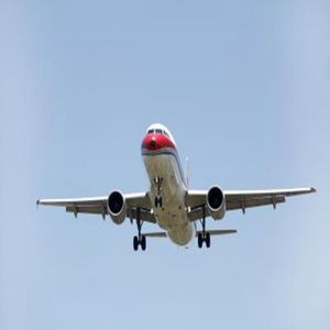 Agente de Carga Aérea Profesional a los Principales Aeropuertos de Japón - Product Image 1