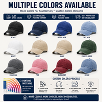 Casquettes de baseball vintage en coton délavé personnalisées, visière incurvée, logo personnalisé, chapeau pour événements d'entreprise et d'équipe