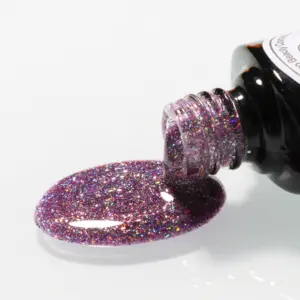 Tırnak tedarikçisi gökkuşağı renkli holografik Glitter UV jel vernikler 15ml tırnak jeli lehçe Nail art salon için