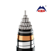 Cable de Potencia de Media Tensión con Aislamiento XLPE Ignífugo de 185 mm, 240 mm, 300 mm, 400 mm, 500 mm, 630 mm, ZR-YJLV62 8.7/15kV para Estación de Energía
