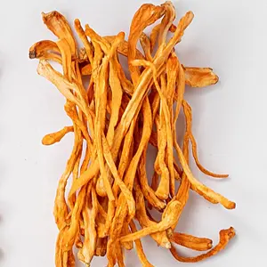 mushrooms Grade One Dried Dehydrated Cordyceps Militaris Healthy Cordyceps