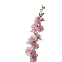 Bunga Delphinium Tangkai Panjang Simulasi untuk Dekorasi Pernikahan, Hiasan Rumah, Perlengkapan Fotografi, Bunga Kering Bionik