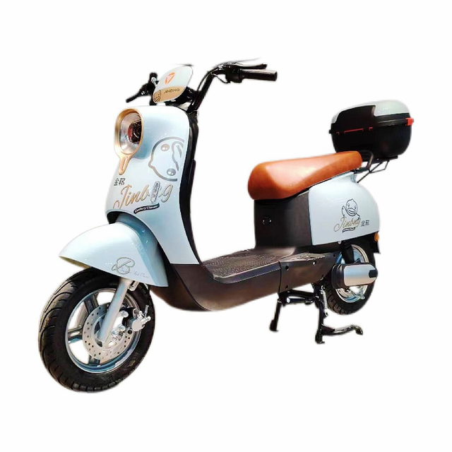 High-Performance Custom Racing 40-60km/h Sportbikes 600W 48V Two-Wheeled Adult Electric Motorcycles With Lead Acid Battery