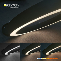 Lustre suspendu moderne personnalisé Cct Réglage de la couleur Dimmable Fantaisie minimaliste pour la maison Salon Chambre Lampes suspendues LED