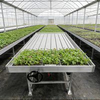 Plateau agricole de culture à débit, 50 m, planche de croissance hydroponique