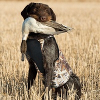 Canard imperméable sanglier attraper cuir protecteur néoprène chien gilets isolé Camouflage gilet pour sauvagine Retriever