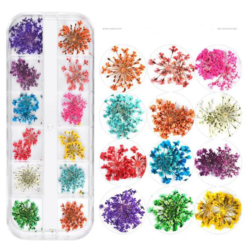 Popular 3D Pressed Nail Art DIY Natural Real Nail Dry Flower For Nails Decoration Manicure