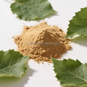 100% doğal yüksek saflıkta beyaz dut yaprağı ekstresi DNJ 2% gıda kozmetik sınıf bitki tozu formu mevcut şişe davul Can - Product Image 4