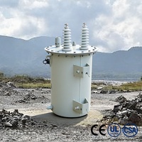 Transformadores de Media y Alta Tensión Resistentes a la Intemperie 11kV/10kV 60Hz 5kVA 10kVA 25kVA Monofásicos, Sumergidos en Aceite, para Montaje en Poste