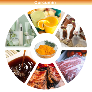 อาหารเสริมผงเคอร์คูมิน 95% ลิโปโซมเคอร์คูมิน - Product Image 2