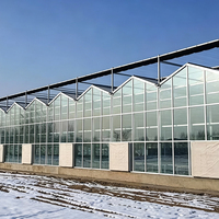 Serre en verre hautement transparente, serre agricole multi-spans, serre à contrôle climatique automatisé, culture de légumes