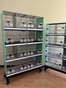 2026 Hot Sale Large <strong>Metal</strong> <strong>Bird</strong> Cage With Rolling Stand Heavy Duty Powder Coated Steel Parrot Cage for Commercial Breeding <strong>Aviary</strong> - Product Image 4