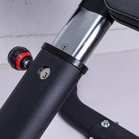 TELLUS Home Gym Machine pliable 45 degrés chaise romaine banc d'extension arrière pour l'exercice et l'entraînement