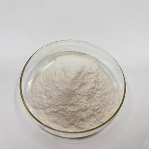 Poudre de protéine de riz végétalien biologique en vrac 80% protéine de riz pour complément alimentaire - Product Image 5