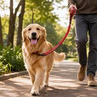 Nouvelle Conception Laisse en Nylon pour Chien Moyen et Grand, Corde de Dressage et de Promenade pour Animaux de Compagnie, Corde en Nylon pour Chien de Grande Taille, Laisse de Contrôle
