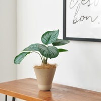 Faux Calathea Orbifolia, plante panachée artificielle de luxe pour un design d'intérieur moderne