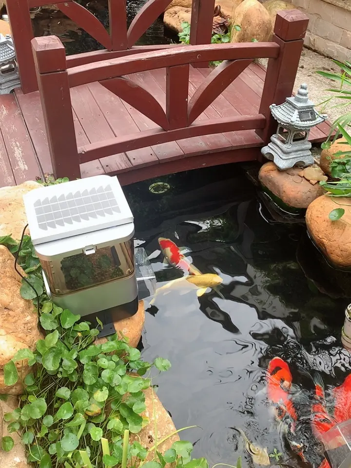 Outdoor Visvijver Aquarium Koi Solar Automatische Feeder Wordt Gebruikt Voor Het Kweken Van Vis En Garnalen Reguliere Voeding Batterij