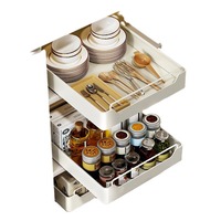 NFS Organisateur de cuisine sous l'évier Panier à épices sans clous Boîte de rangement à tiroirs Support en métal pour bol et assiette