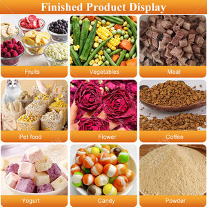 Lyophilisateur de fleurs MY Laboratory, capacité 20 kg, machine de lyophilisation pour bonbons à usage domestique - Prix - Product Image 6